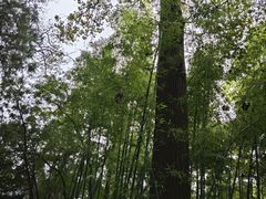 -四门塔风景区