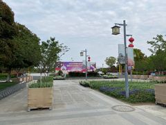 -金卉庄园