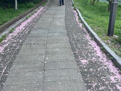 -幕燕滨江·长江观音景区