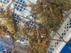-盒马鲜生(悦峰店)