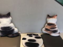 -飞行喵MR PILOT|猫舍·猫咖(静安大融城店)