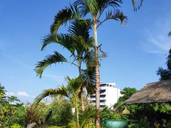 -自然餐厅(Phuket)