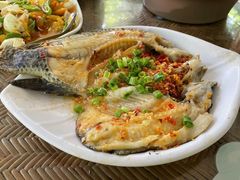 -晓雯人家