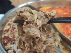 -鑫顺吉牛肉馆