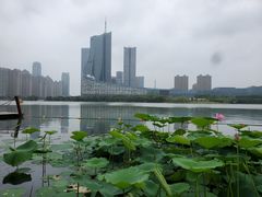 -天鹅湖体育公园
