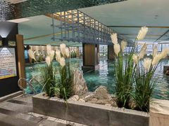 -青水瓦台汤泉(未央店)