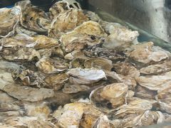 -鑫渔港海鲜本地菜·山海关浑锅(东戴河店)