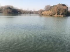 -白塔湖国家湿地公园