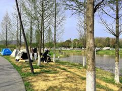 -佛手湖郊野公园