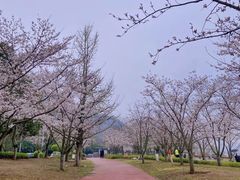 -幕燕滨江·长江观音景区