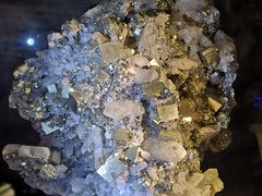 -陕西自然博物馆