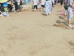 -碧海金沙
