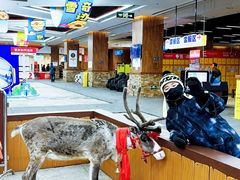 -哈尔滨热雪奇迹