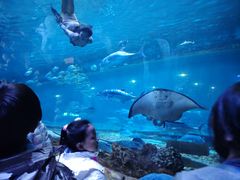 -华夏文旅海洋公园