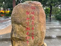 -铁山坪森林公园