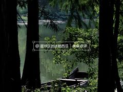 -东湖落雁景区