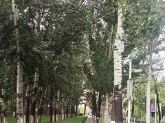 -南开大学(八里台校区)