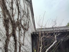 -南园(太仓市)