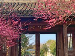 -西溪国家湿地公园