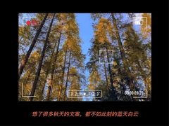 -东平国家森林公园