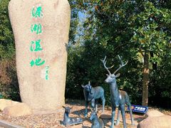 -溱湖国家湿地公园