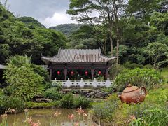 -广州市白云山风景名胜区