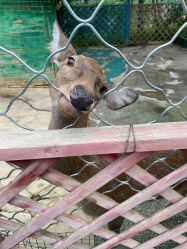 -萌宠亲子动物乐园(槐房万达店)