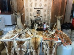 -乔家满族八大碗(流水沟店)