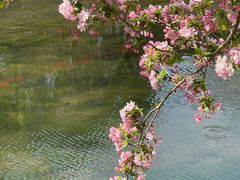 -海棠花溪(元大都城垣遗址公园)