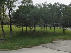 -火炉山森林公园