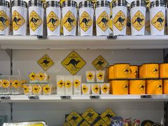 -维也纳国际机场