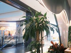 -烹然四季椰子鸡火锅(姚家园万象汇店)