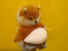 -西单翅酷(西单店)