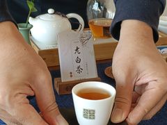 -小茶闲舍·观景商务茶馆(广州塔店)