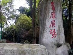 -江湾神木园