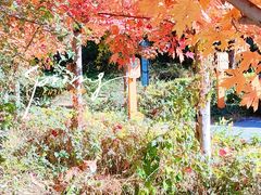-护国法轮寺