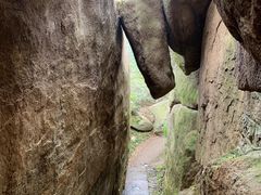 -鲁山国家森林公园