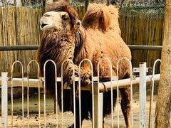 -1982农场
