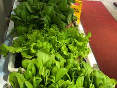 时蔬-捞围鲜·港式打边炉(海阳路店)