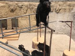 -徐记正宗北京烤鸭(北京东路总店)