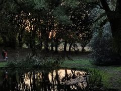 -上海共青森林公园