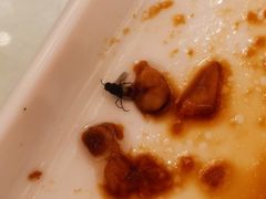 -卡尔顿东方银龙酒店•广西菜•早茶