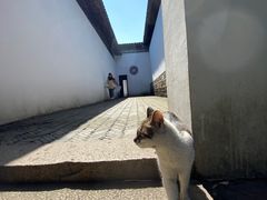-西园戒幢律寺