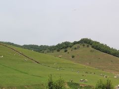 -关山草原