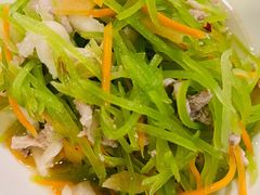 -维也纳酒店(上海虹桥枢纽松江新桥店)