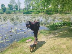 -浙江西子宾馆·瑶园咖啡厅