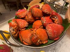 -TABLE·味西餐厅-成都茂业JW万豪酒店