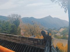 -潭柘寺景区