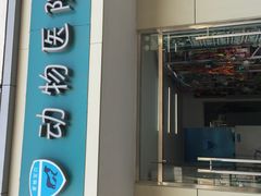 -中农大我爱我爱24h动物医院·中医针灸·猫专科·骨科医疗中心(双井店)
