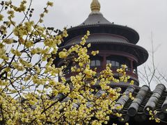 -圆通寺